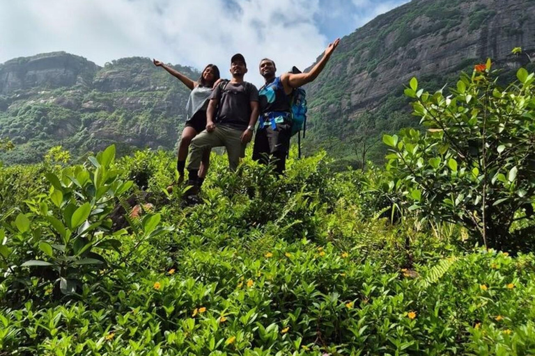 Kandy: Hidden Highlands Nature Walk