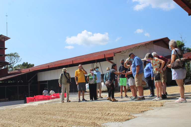 Tapachula: The Chiapas Coffee Route Tapachula: The Coffee Route in Chiapas