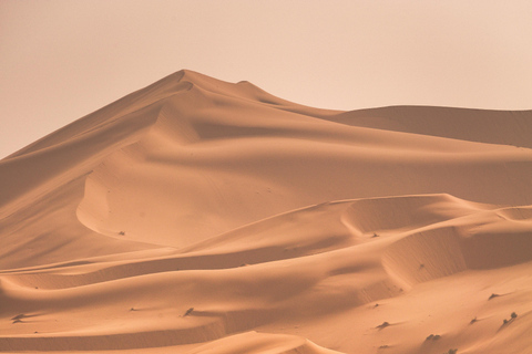 Tour del deserto con scalo a Doha, giro in cammello e mare internoSafari nel deserto con giro in cammello