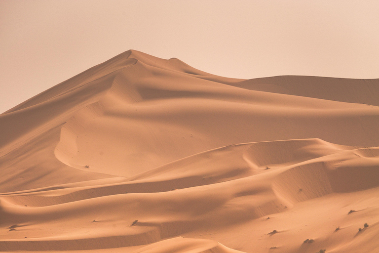 Tour del deserto con scalo a Doha, giro in cammello e mare internoSafari nel deserto con giro in cammello