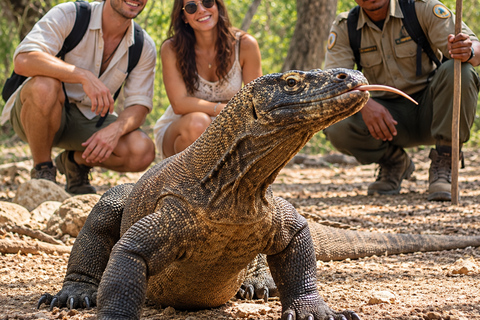 Day Trip to Komodo with Luxury Boat Dragon Guarantee & Drone