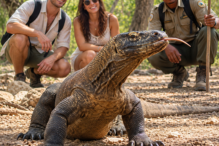 Day Trip to Komodo with Luxury Boat Dragon Guarantee & Drone