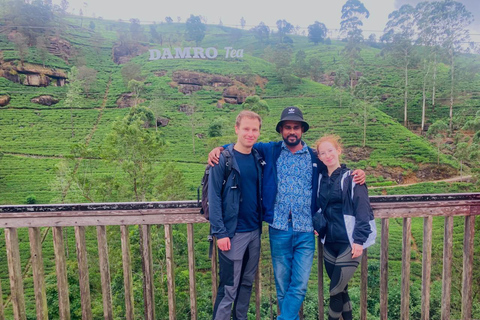 From Kandy to Nuwara Eliya & Moon Plains – Tuk‑Tuk Day Tour From Kandy: Moon Plains Highlands Viewpoint Experience