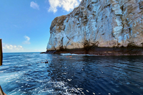 Galápagos Explorer: Santa Cruz & Isabela 6-Day Adventure
