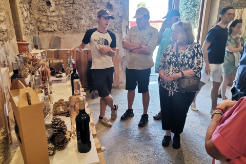 Vanuit Marseille: rondleiding door wijngaarden met wijnproeverijen