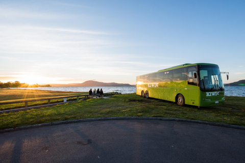 Nya Zeeland: National Hop-On Hop-Off PassBidrottning