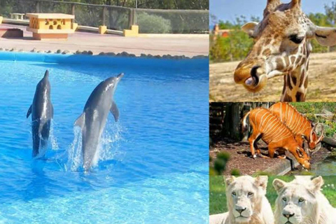 From Monastir & More: Friguia Wildlife Park with Entry From Sousse : Friguia Wildlife Park