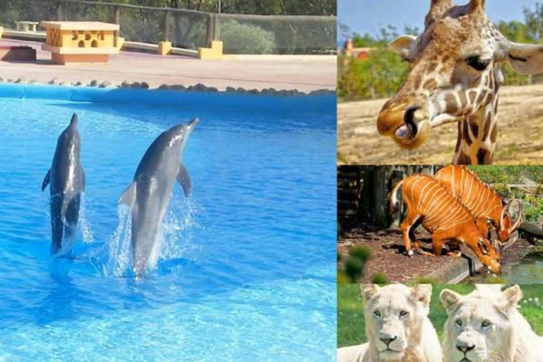 From Monastir & More: Friguia Wildlife Park with Entry From Sousse : Friguia Wildlife Park