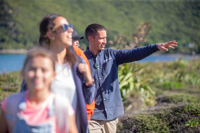 Desde Wellington: Excursión clásica de un día con guía a la Isla Kapiti