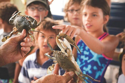Charleston: Blue Crabbing Excursion with Crab Boil