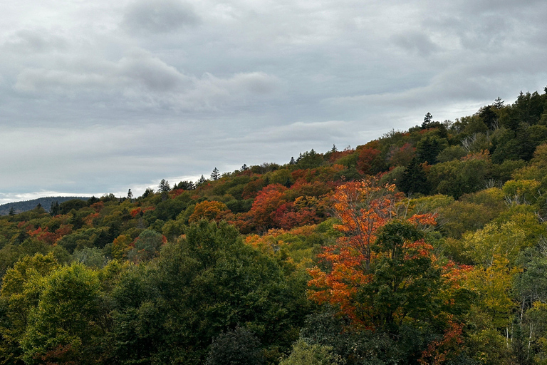 Boston: White Mountains 4.000 voet wandeling - Mount Moosilauke