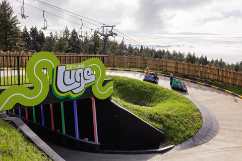 From Auckland: Rotorua Day Trip with Te Puia & Luge Rides