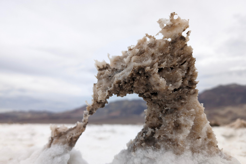 From Las Vegas: Death Valley Guided Day Tour