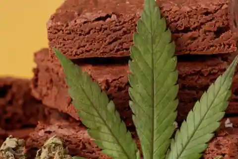 Amsterdam: First Edibles Tour!