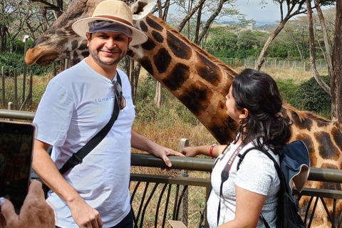 Nairóbi: Parque Nacional, Orfanato de Elefantes e Passeio com Girafas