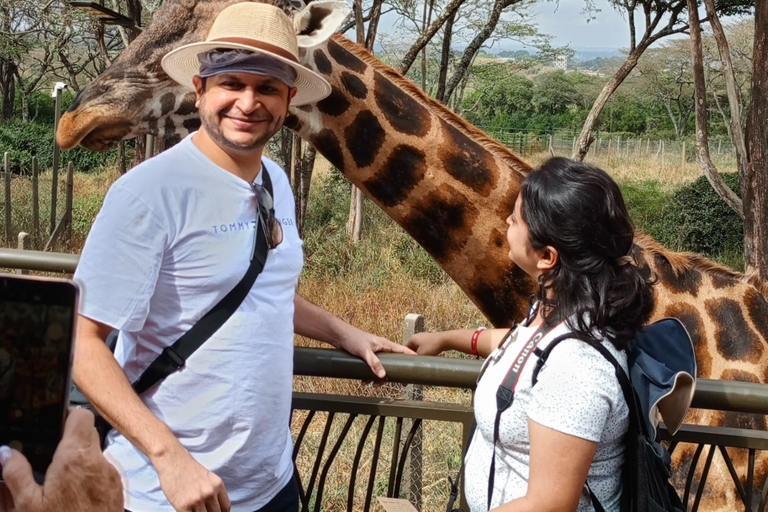 Nairobi: Parco nazionale, orfanotrofio degli elefanti e tour delle giraffe