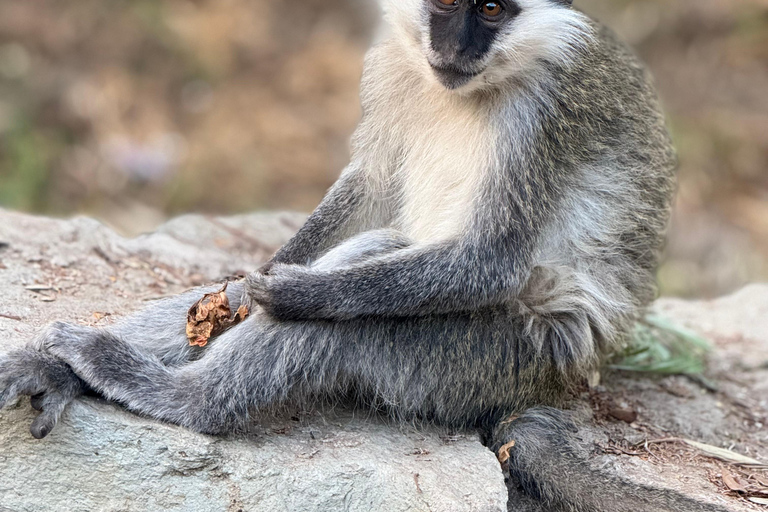 Äthiopien: 10-tägige Omo-Tal-Tour ab Addis Abeba
