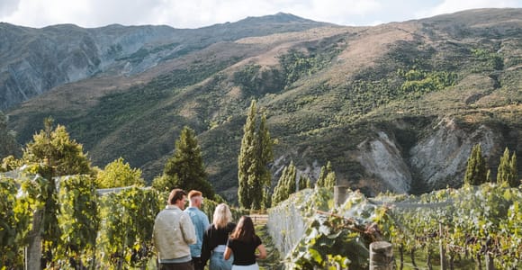 Queenstown: Small Group Wine Tasting Tour with 18+ tastings