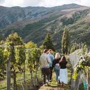 Queenstown: Small Group Wine Tasting Tour with 18+ tastings Queenstown: Small Group Wine Tasting Tour with 18+ tastings