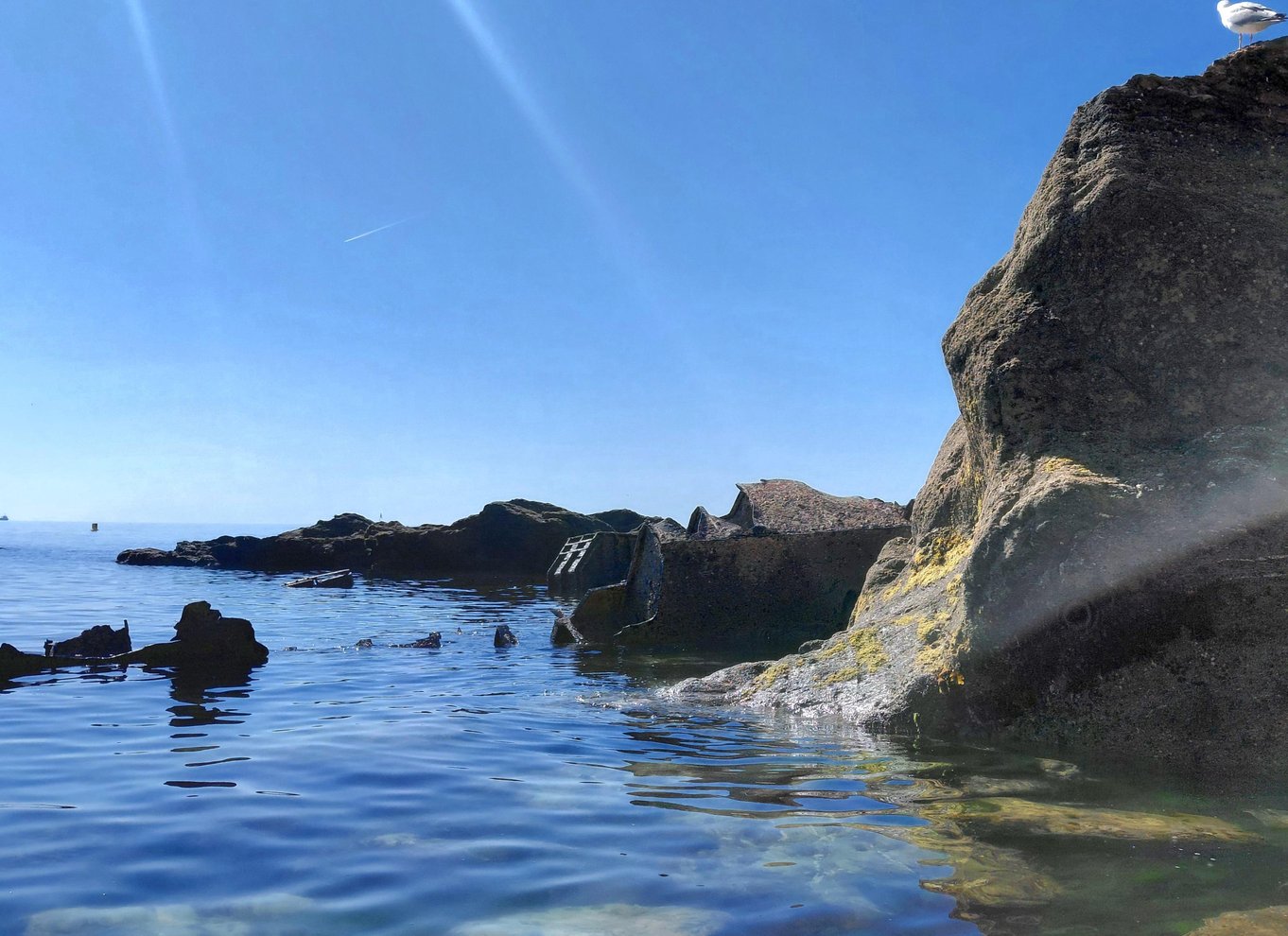 Falmouth: Paddleboard-tur langs kysten