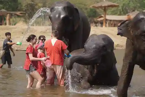 Chiang Mai: Elephant care & Long Neck &Sticky Waterfall Tour