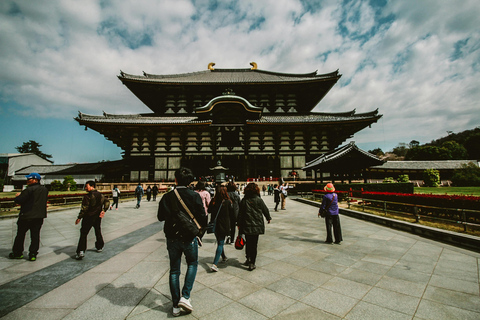 Excursion d&#039;une journée à Osaka, Nara et Kyoto avec chauffeur parlant anglais