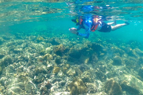 Hong Kong Geopark: Volcano Sightseeing & Hidden Coral Snorkeling Experience (Private) Volcano Sightseeing & Snorkelling Experience