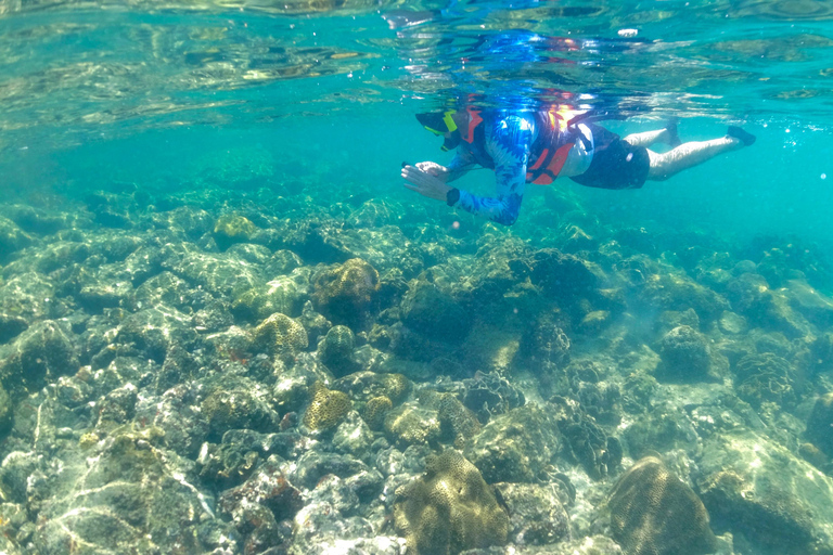 Hong Kong Geopark: Volcano Sightseeing & Hidden Coral Snorkeling Experience (Private) Volcano Sightseeing & Snorkelling Experience