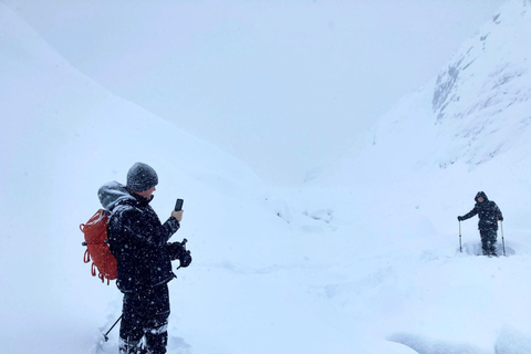 Guided Snowshoeing Adventure from Seward, Alaska 6-Hour Tour