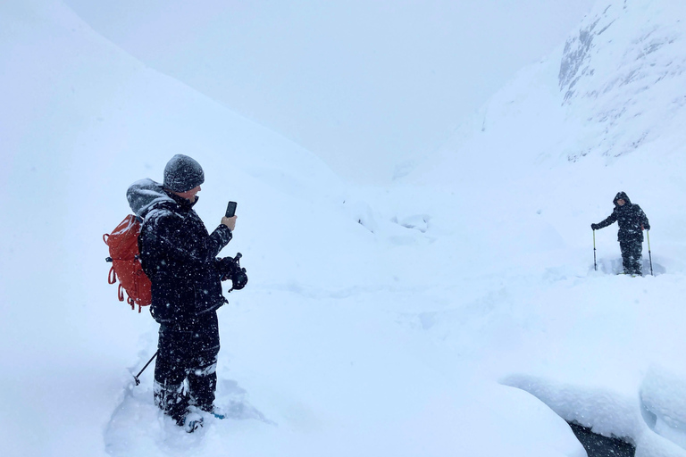Guided Snowshoeing Adventure from Seward, Alaska 6-Hour Tour
