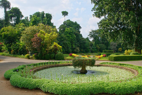 Sri Lanka: Tour di 2 giorni a Sigiriya, Dambulla e Kandy