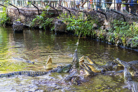 Mombasa: Discovery Day Tour och Haller Park