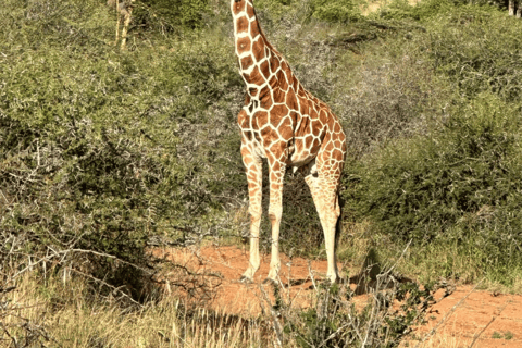 Safari i odkrywanie: rezerwat Bandia i laguna Somone