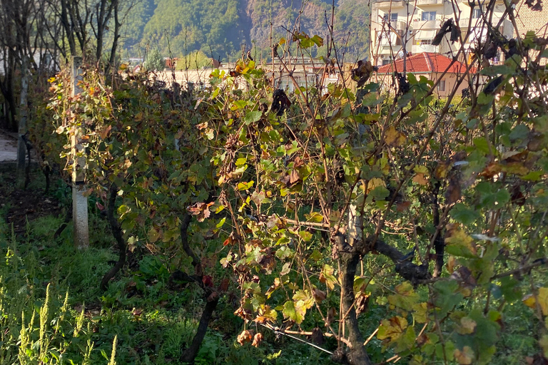 From Tirana-RAKI AND WINE TASTING TOUR IN LIBRAZHD