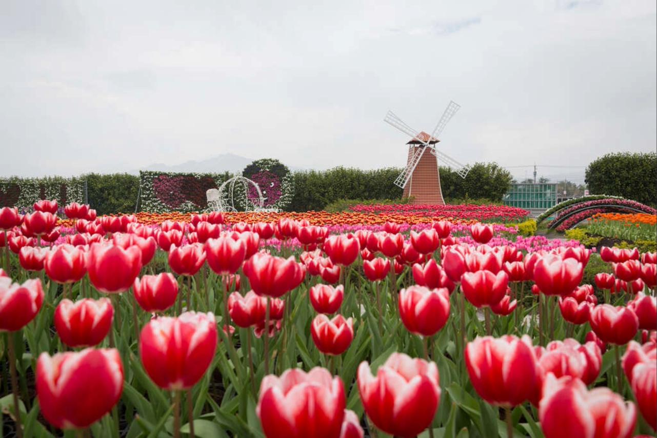 Tagestour durch die Natur von Taichung – ab Taipeh
