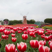 Taichung Nature Tour (Day Trip) - From Taipei