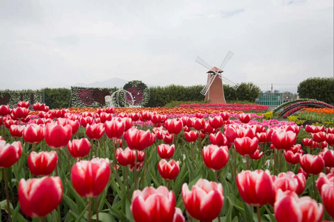 Taichung Nature Tour (Day Trip) - From Taipei Taichung Nature Tour (Day Trip) - Business Van