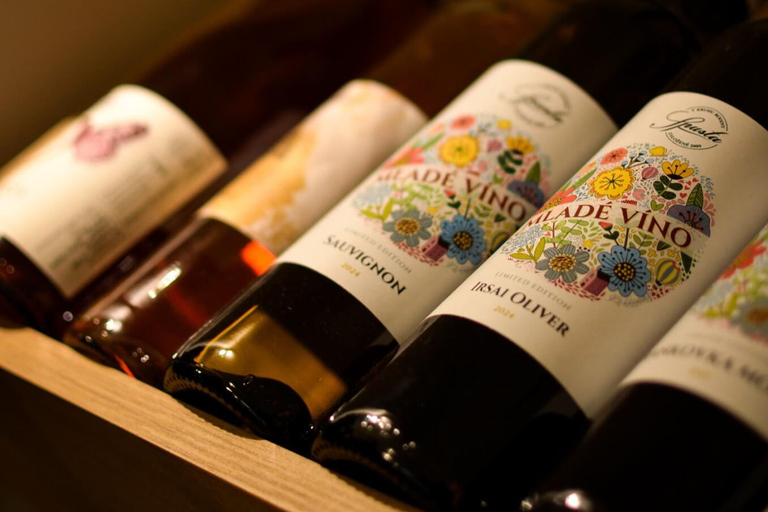 Evening Essential Bratislava Tour & Wine Tasting from Vienna