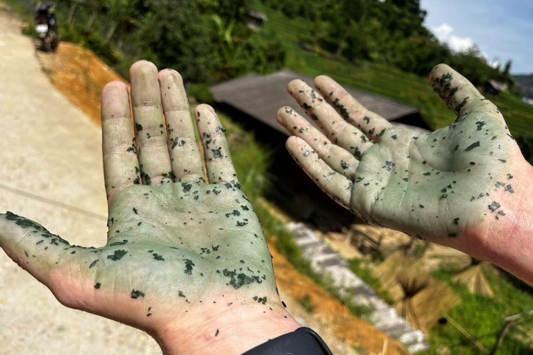 Trekking à la découverte de Sapa avec hébergement culturel en option