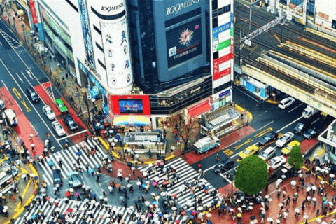 Tour privado de la ciudad de Tokio personalizado con conductor de habla inglesa