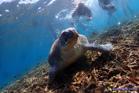 Koh Tao: Excursão de um dia com mergulho com snorkel nas ilhas e almoçoKoh Tao: Ilhas Snorkeling Destaques Day Tour &amp; Almoço