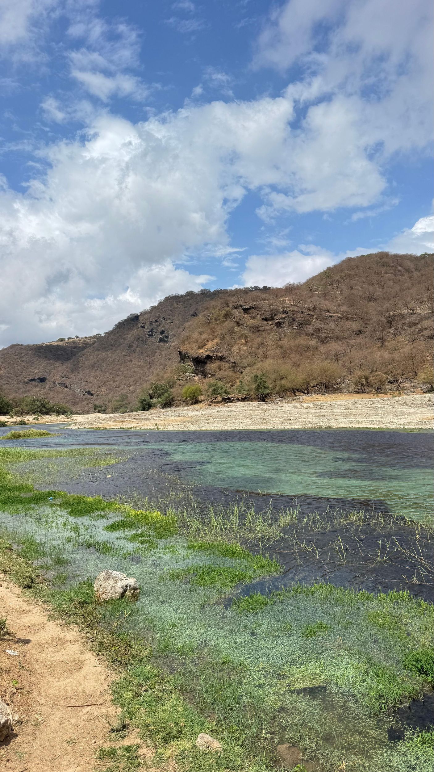 Salalah: Tour zum Wadi Darbat, zu Baobab-Bäumen und zu den Sanddünen per Quad