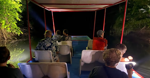 Manuel Antonio: Night Boat Experience at Mangroves