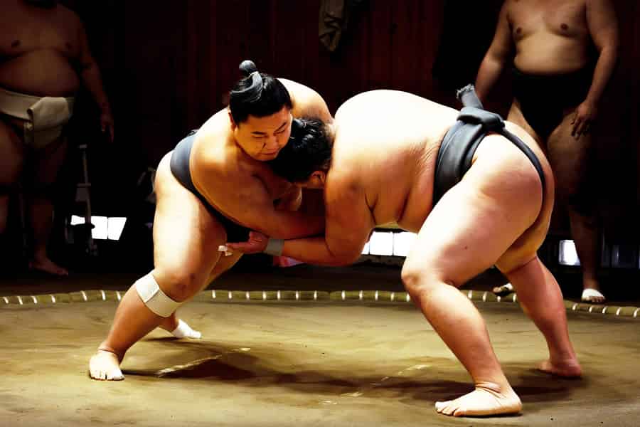 Osaka: Sumo-Erlebnis mit Live-Show & Herausforderung für das Publikum. Foto: GetYourGuide