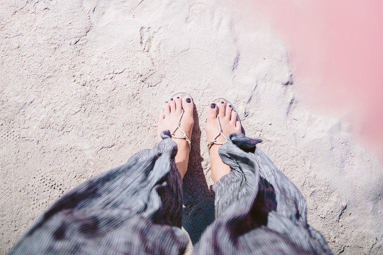 Rio Lagartos et Las Coloradas : EcoSafari Flamingo DeluxRio Lagartos et Las Coloradas : EcoSafari Flamingo Deluxe