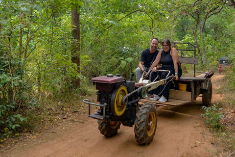 Sri Lanka: Coche privado, furgoneta o autocar con conductor