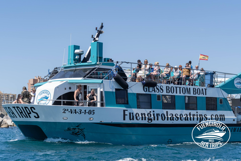 Fuengirola : Tour en catamaran pour repérer les dauphins