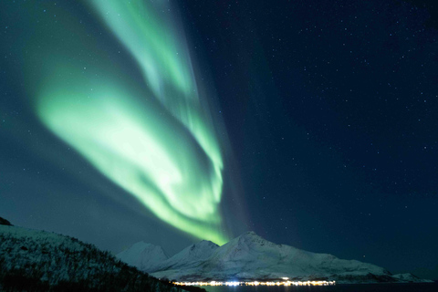Tromsø: Northern Lights Tour with Local Guide