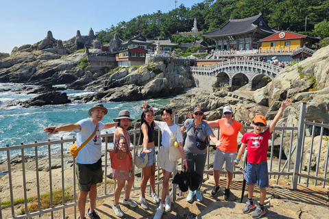 Private Minibus Tour in Busan für Kreuzfahrtgäste 8-17 Personen