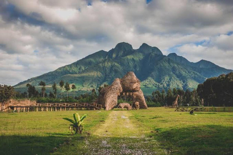 Ruanda : Excursión de 3 días - Ciudad de Kigali, Parque Nacional de los Volcanes